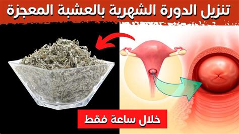 التخلص من الدوره الشهرية بسرعه!؟ - عالم حواء