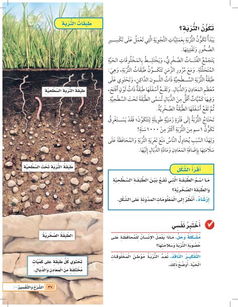 التربة موطن الطب