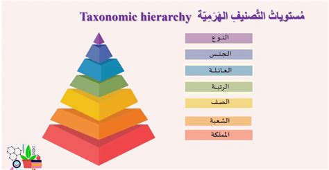 التصنيف - Wikiwand