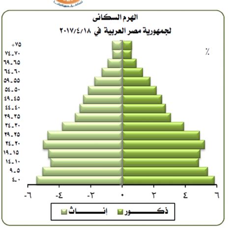التعداد السكاني مصر 2024 - PopulationPyramid.net
