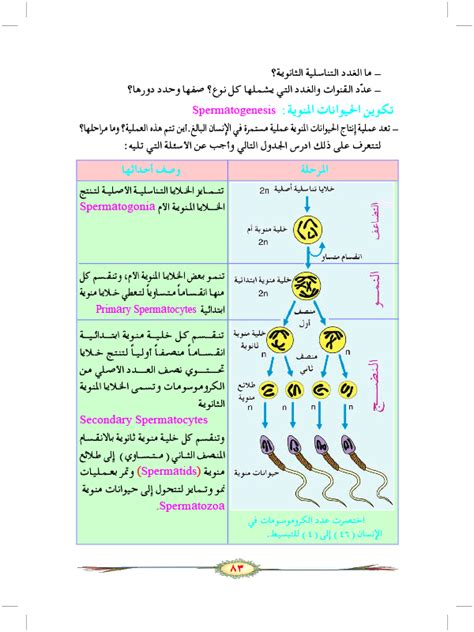 التكاثر الجنسي - ويكيبيديا