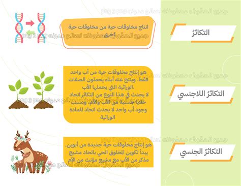 التكاثر هو إنتاج أفراد جدد من نفس النوع والأنواع - المنهل الأول