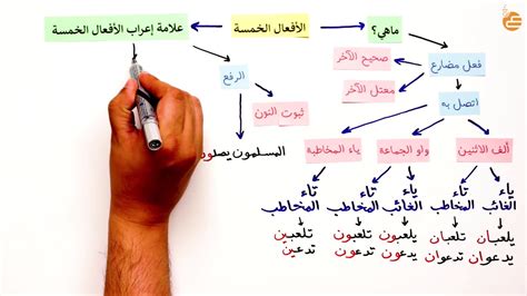 التكملة الخامسة من الأفعال تفعل، تفعل، تفعل، تعمل هي - دروسي