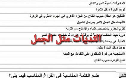 الثدييات، مثل الإبل، لا تمر بمراحل التحول - عرب أورجي