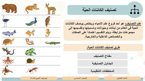 الثدييات مثل الإبل لا تمر بمراحل التحول - مواد مذابة
