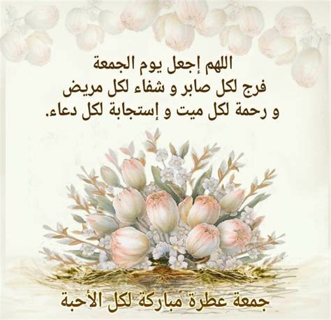 الجمعة الجديدة صور 2024 المشاركات المصورة في الجمعة - المحتوى الصفحة