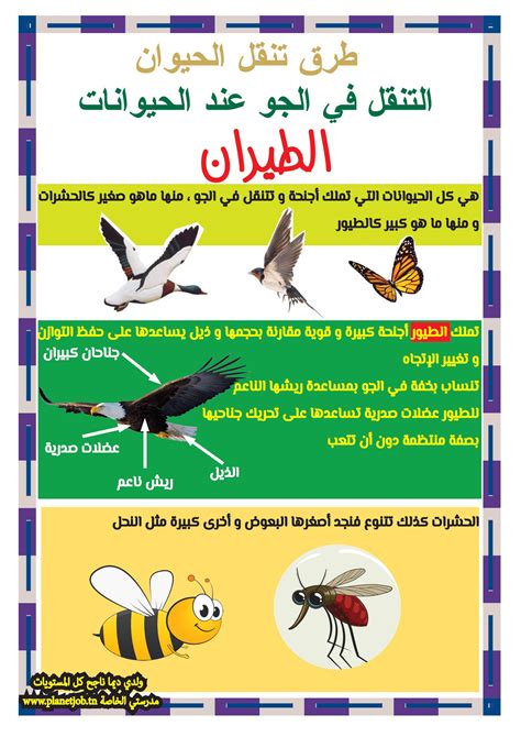 الجو