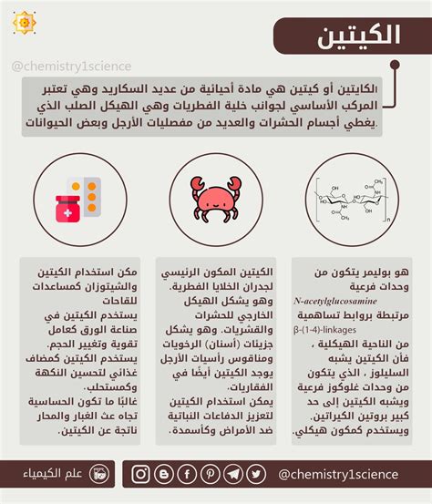 الجواب على الكيتين هو - منصة العلوم