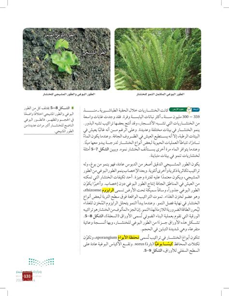 الجيل السائد في النباتات الوعائية هو الطور المشيجي صحيح أم خطأ