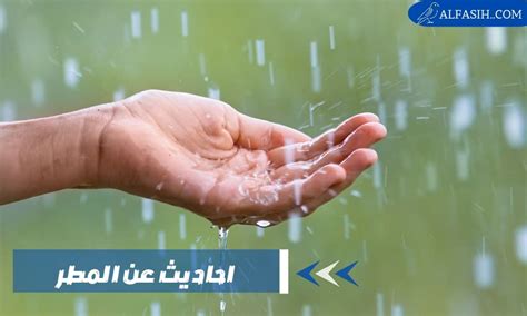 الحديث عن المطر - الموضوع