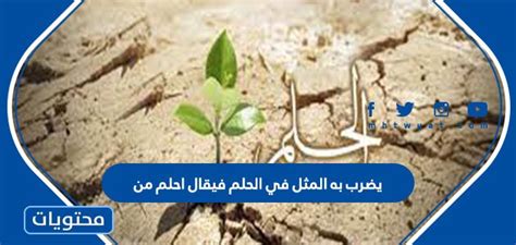 الحل الذي يضرب به المثل وراء الوعد، لذا فقد تم إعداده - موقع الشروق