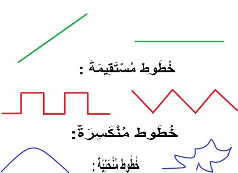 الخط هو العنصر الأساسي في الرسم، صح أو خطأ - عرب أورجي الخط هو العنصر الأساسي في الرسم، صح أو خطأ - عرب أورجي