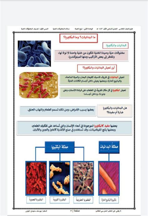 الخلايا هي اللبنات الأساسية لكل الكائنات الحية، حقيقية كانت أم مزيفة