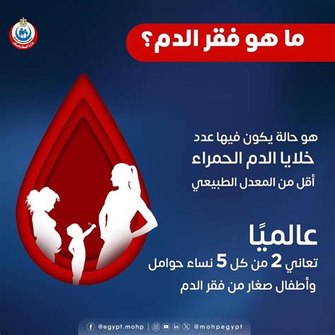 الدم على جدار القوة