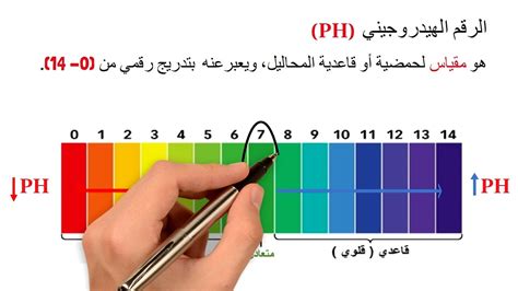 الرقم 7 في الرقم الهيدروجيني يشير إلى أن المحلول حمضي - House of Science