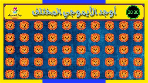 الس يعني بيت المعرفة - الأورجي العربي