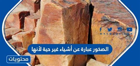 الصخور هي كائنات غير حية لأنها كذلك