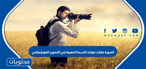 الصورة تفي بقواعد القسم الذهبي في التصوير صح أم خطأ - موقع القمة