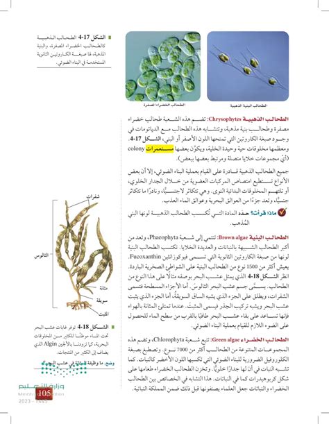 الطحالب الذهبية - الطلائعيات الشبيهة بالنباتات (الطحالب)