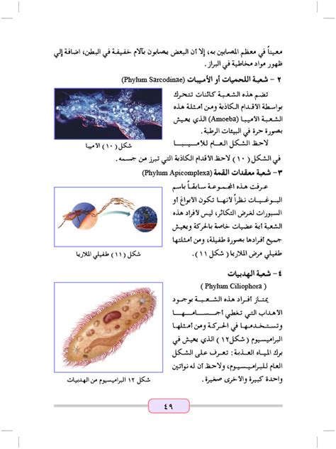 الطلائعيات الشبيهة بالنبات - علم الأحياء 1