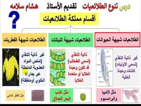 الطلائعيات والفطريات - العربي - العربي