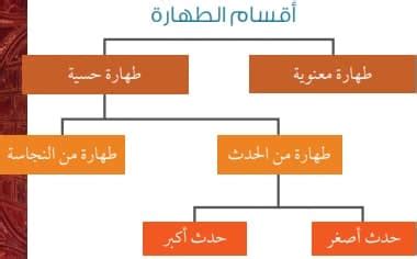 الطهارة تتحقق بأمرين: رسول العلم