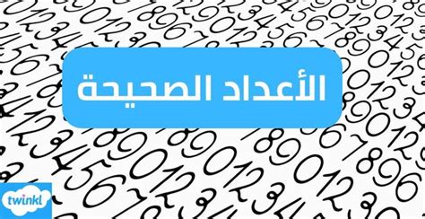 العدد الصحيح الموضح على خط الأعداد هو 3 - لغة أورجي العربية