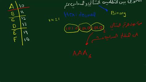 العدد العشري 11 هو نفسه العدد في النظام الثنائي - علم السؤال