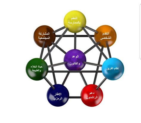 العلاقة وظيفية حيث يرتبط كل عنصر من عناصر العالم بعنصر من عناصر العالم - حبر العقل