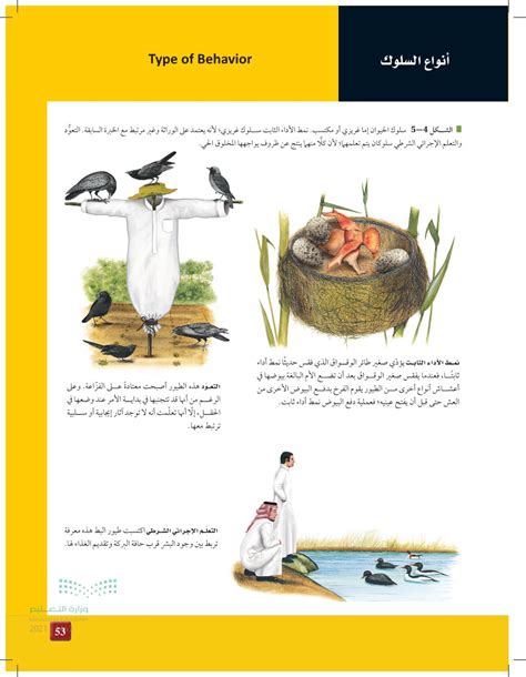 الغريزة سلوك مكتسب - المتفوق الغريزة سلوك مكتسب - المتفوق