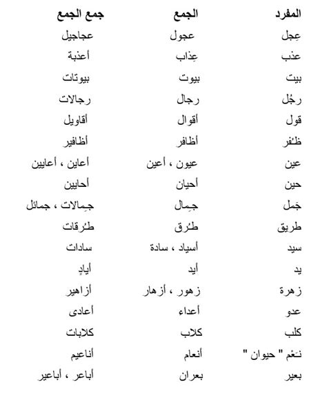 الفتح العربي هو صيغة الجمع المكونة من 5 أحرف للوجه - Albasit.com