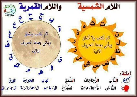 الفرق بين خروف الشمس والقمر في اللغة العربية