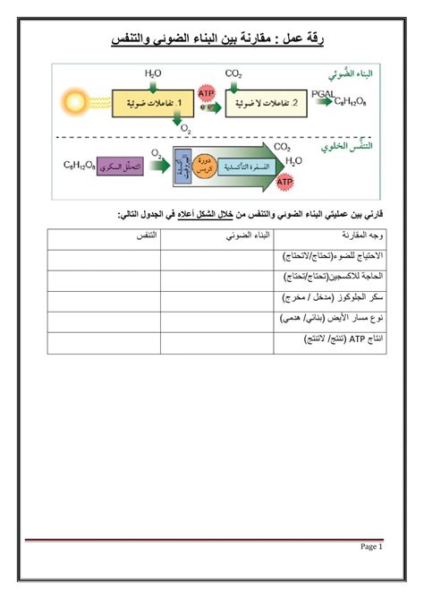الفرق بين دكبج مسطح وبراق - بيت العلوم