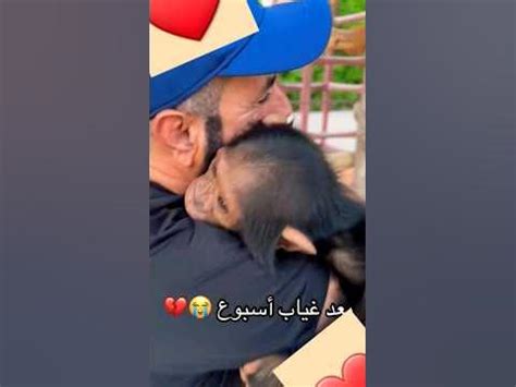 القردة والقرود ينتمون للطلب - سعودي ميكس