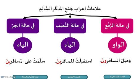 الكلمة التي تدل على جمع المذكر سالم هي - مجتمع الحلول