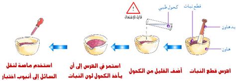 الكواشف الحمضية والقاعدة - لابيليزا
