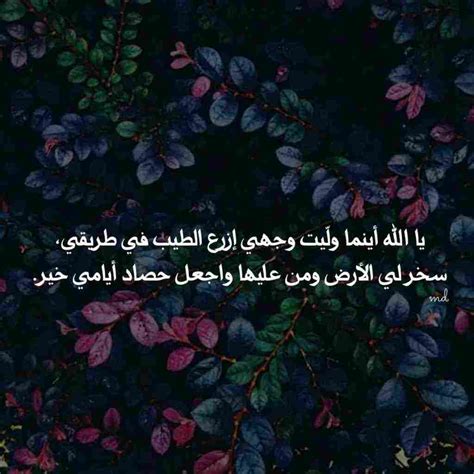 اللهم ان الارض استهزأت بي ومن كان عليها - اقرأ الموسوعة
