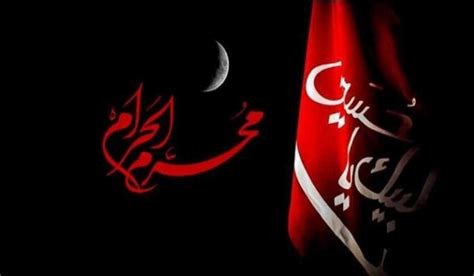 الليلة الثانية من شهر محرم - السيد هاشم الخاص - صوت الشيعة