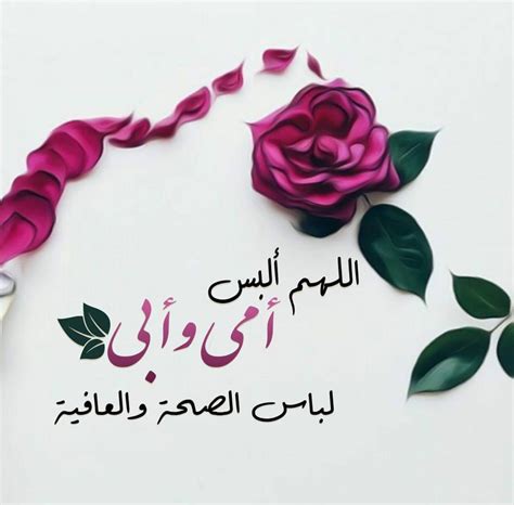 المراد بالأقارب: الأقارب من الأم والأب - المصدر