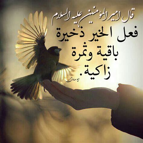 المراد من زيادة قوله تعالى (لمن فعل الخير خير وزياد) - عربي ارجي