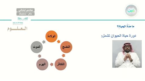 المرحلة الكاملة من الحياة أو الزمن هي الخلود، والعمر، والقرن - الشيء التعليمي الوحيد