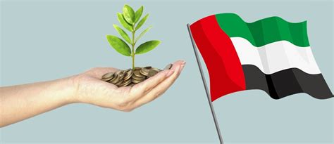 المساعدات المالية في الإمارات للوافدين 2024 - الجذور