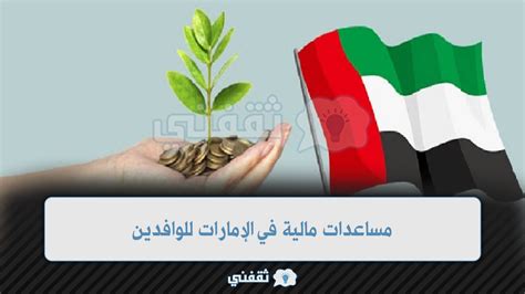 المعونة المالية في الإمارات للوافدين 2024 المساعدات الجديدة - مدونة الأخبار العامة
