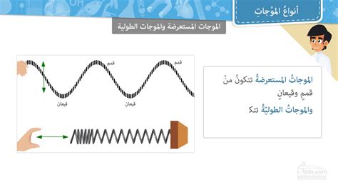 الموجات .... هي أبطأ موجات زلزالية، أكبرها (سعة) والأكثر تدميراً - أفضل إجابة الموجات .... هي أبطأ موجات زلزالية، أكبرها (سعة) والأكثر تدميراً - أفضل إجابة