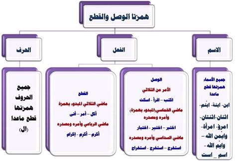 الهمزة في كلمة إيشاب هي همزة وصل - التعلم