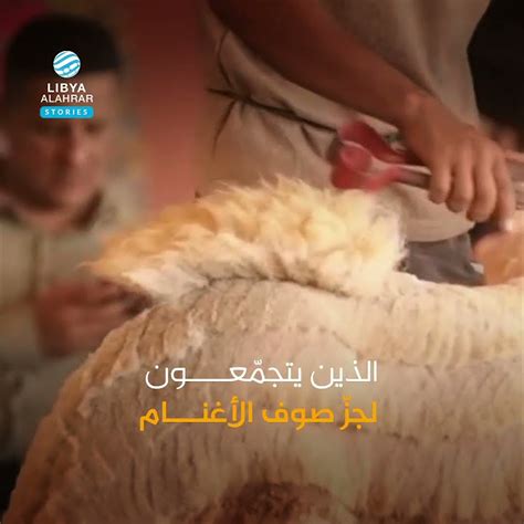 الهوس البشري بالشعر الفصيح وأسلوبه الشعبي
