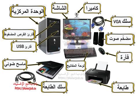 الوحدة تسمى دماغ الكمبيوتر - my site.net