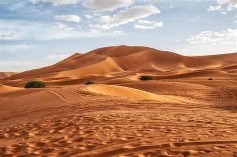 انتشر في الصحاري وخاصة في صحراء الحجاز - أبسط الحلول
