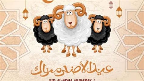 بأجر كامل.. ‫إجازة عيد الأضحى 2024 القطاع الخاص‎ من 9 وحتى 14 يوليو‬ ...