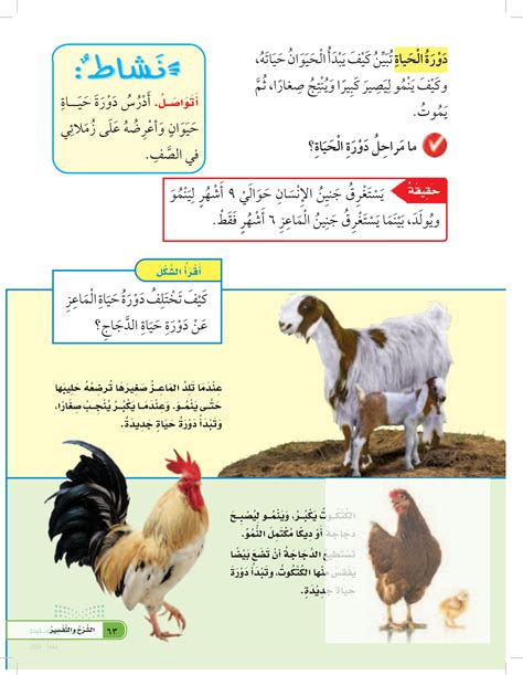 بعض الحيوانات تغير شكلها خلال دورة حياتها من خلال عملية تسمى - معنى الأسماء